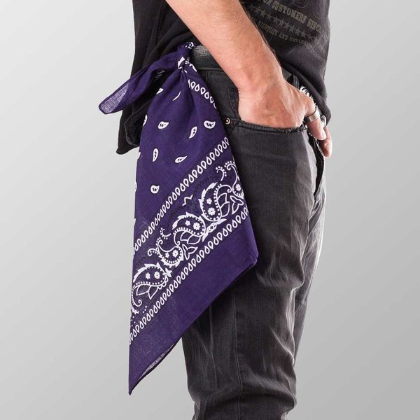 bandana ROCK DADDY Paisley Violet Rock Gadgets \ Bandanas and Scarves