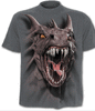 youth short sleeve T-Shirt SPIRAL Roar Of The Dragon