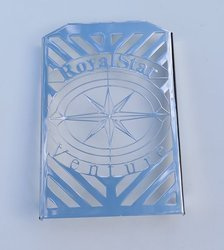 radiator cover MODEL 1 YAMAHA XVZ 1300 ROYAL STAR VENTURE