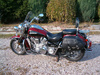 gmole przednie YAMAHA XV 1600 WILD STAR EXTRA