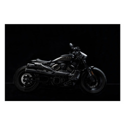 węglowa osłona chłodnicy i zestaw paneli bocznych ZARD HD Sportster 973646