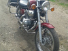 gmole przednie YAMAHA XV 125 VIRAGO STANDARD