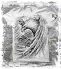 Short sleeve T-Shirt ALISTAR EAGLE POLAND WHITE