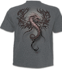 youth short sleeve T-Shirt SPIRAL Roar Of The Dragon